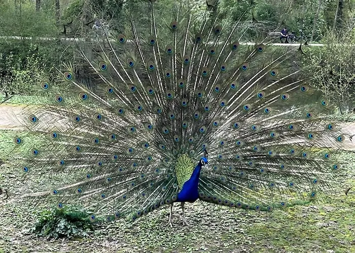 דירה Lighthouse - Modern House With Garden - 20 Minutes To Duesseldorf *